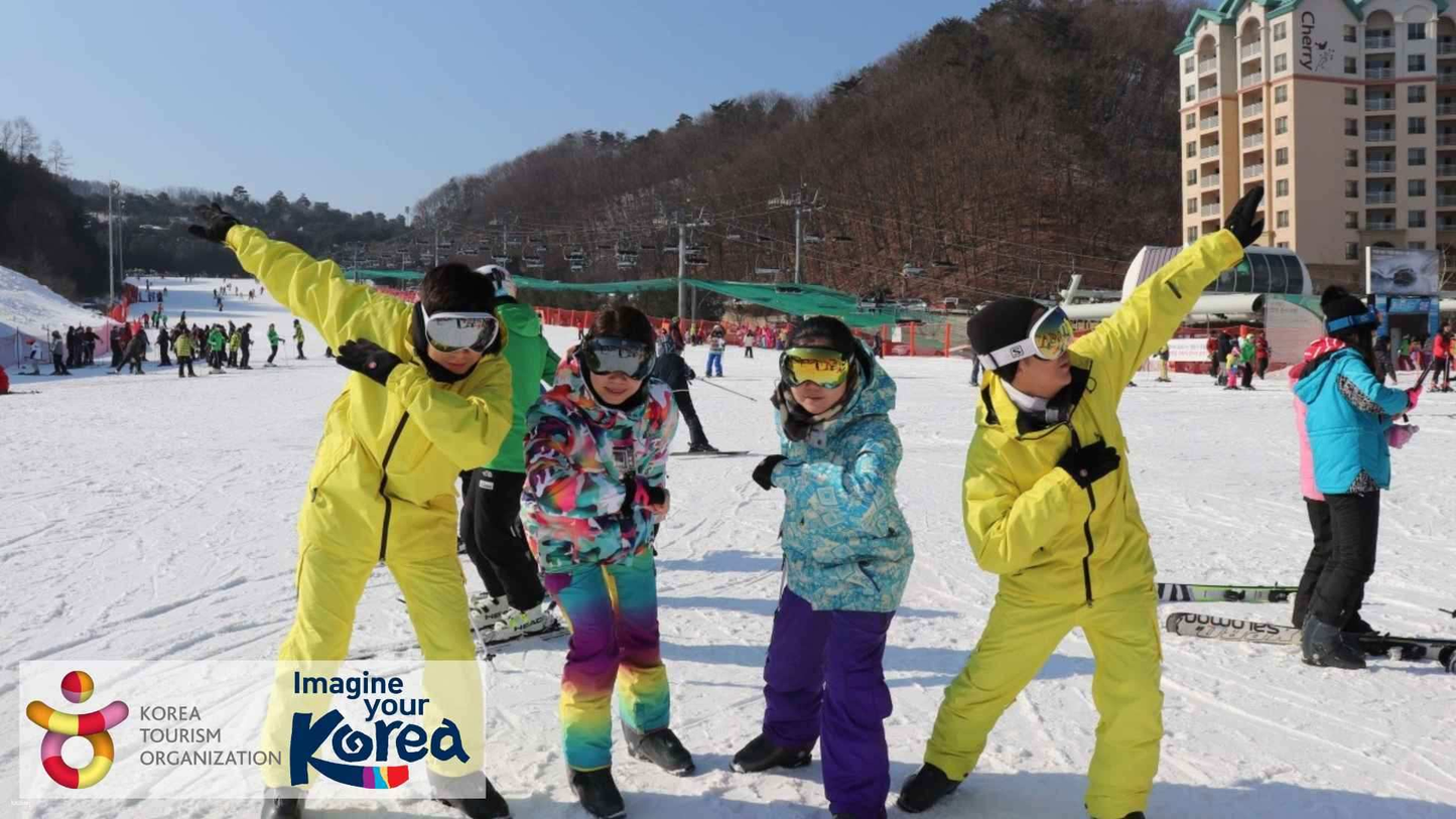Lawatan Sehari Vivaldi Korea Selatan