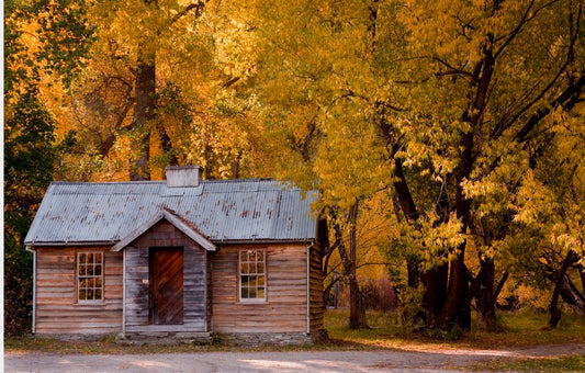 Arrowtown Heritage Tour